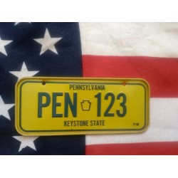 Americká SPZ na kolo r.79