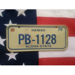 Americká SPZ na kolo r.79