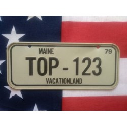 Americká SPZ na kolo r.79