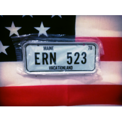 Americká SPZ na kolo 78