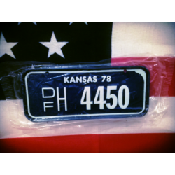 Americká SPZ na kolo 78