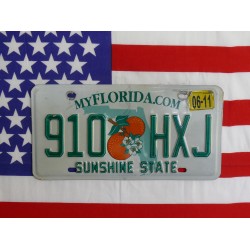 Americká spz Florida 910hxj