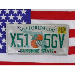 Americká spz Florida x515gv