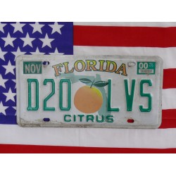 Americká spz Florida d20lvs