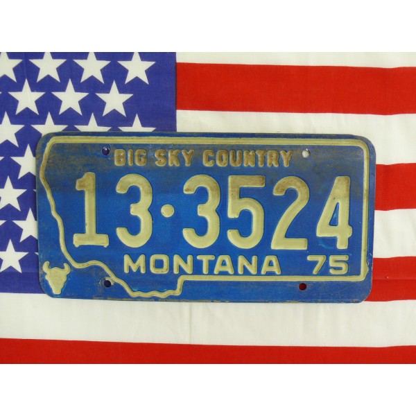 Americká spz Montana 133524