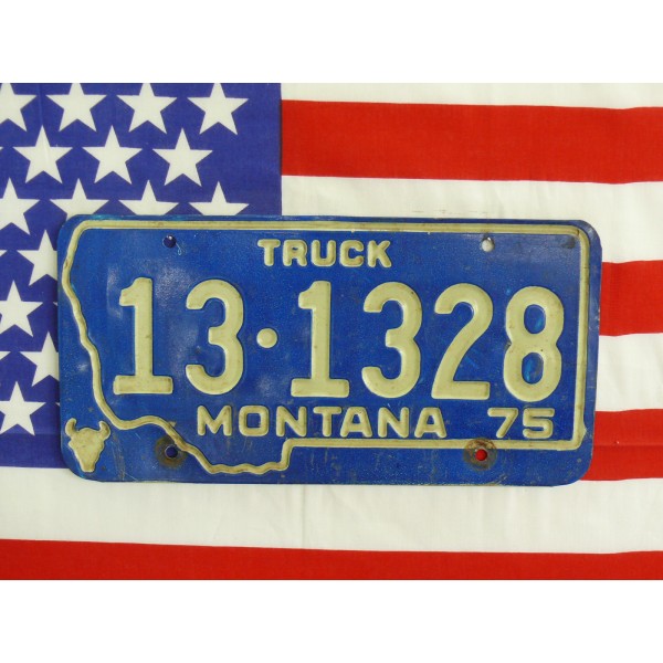 Americká spz Montana 131328