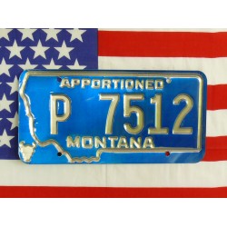 Americká spz Montana p7512
