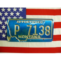 Americká spz Montana p7138