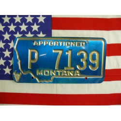 Americká spz Montana p7139