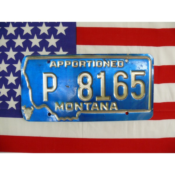 Americká spz Montana p8165