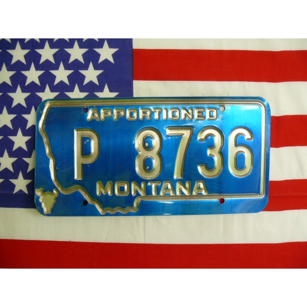 Americká spz Montana p8736
