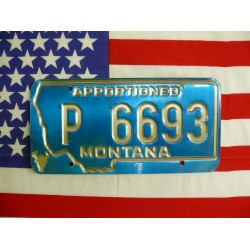 Americká spz Montana p6693
