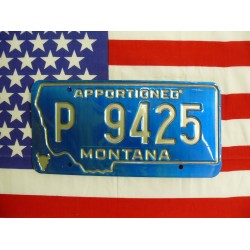 Americká spz Montana p9425