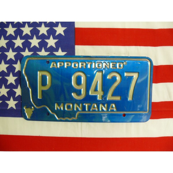 Americká spz Montana p9427