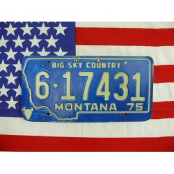 Americká spz Montana 6-17431