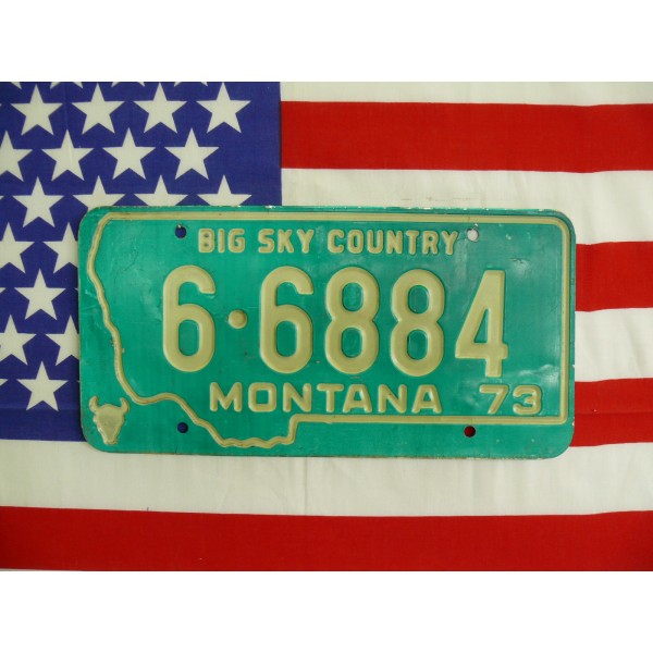 Americká spz Montana 6-6884