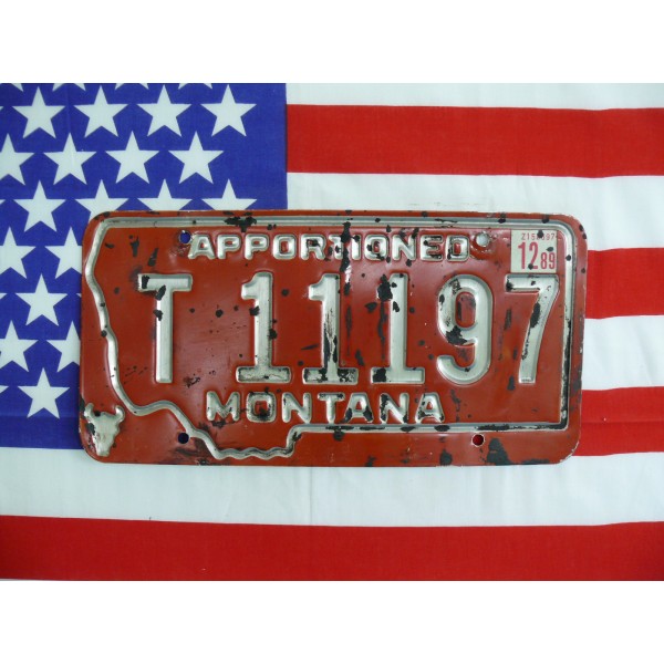 Americká spz Montana t11197