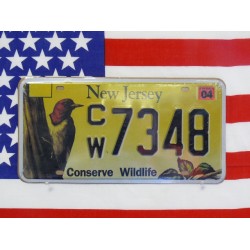 Replika americké poznávací značky