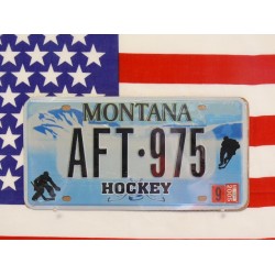 Replika americké poznávací značky