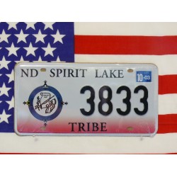 Replika americké poznávací značky