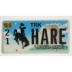 Americká SPZ Wyoming vanity