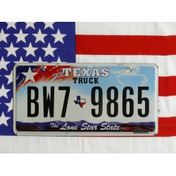 Americká SPZ Texas