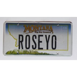 Americká SPZ Montana vanity