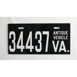 Americké spz Virginia pár veránská