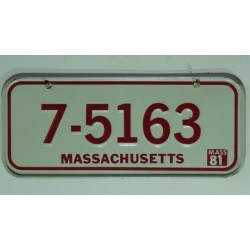 Americká SPZ na kolo r. 81