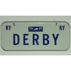 Americká SPZ na kolo r. 81