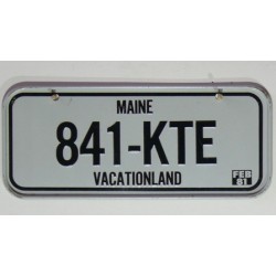 Americká SPZ na kolo r. 81