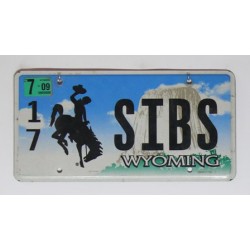 Americká SPZ Wyoming vanity